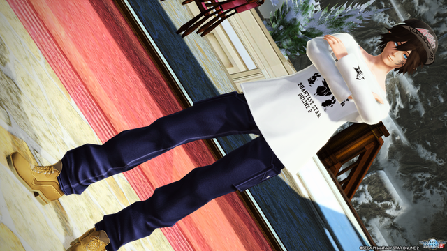 pso20161219_040359_026