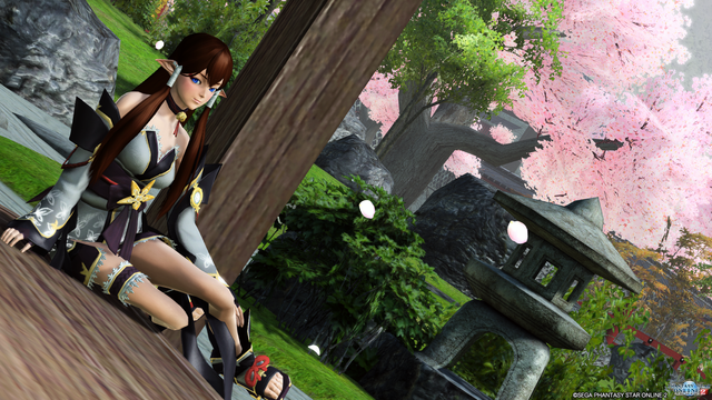 pso20160626_234031_059