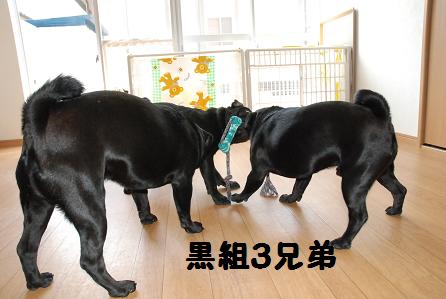 4d7a3445.jpg