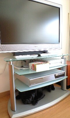 d2d92085.jpg