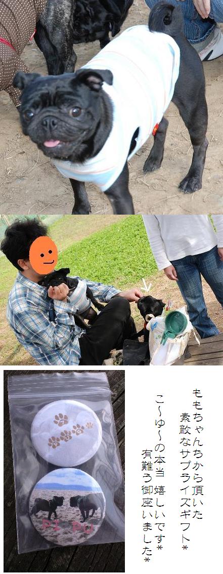 dec5ac1c.jpg