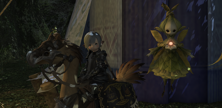 ffxiv_20171205_020142