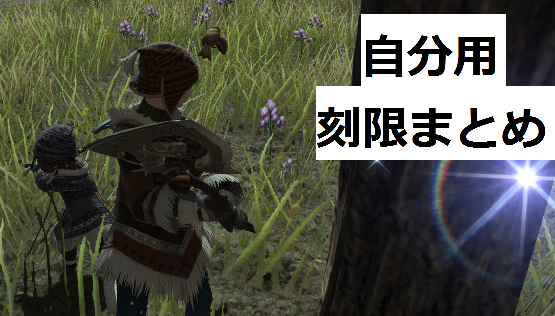 ffxiv_20170713_125135