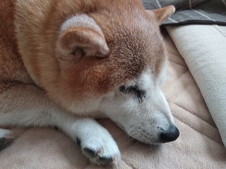 IMG_20181208_150912