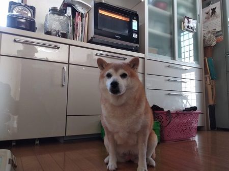 IMG_20181208_134549