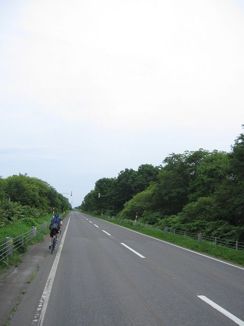 2005