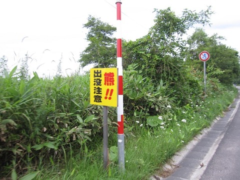 2006