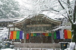 08大晦日の武蔵国分寺本堂