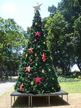 xmas tree