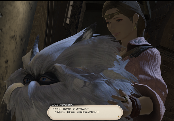 ffxiv_20171206_235024