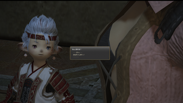 ffxiv_20171206_234939
