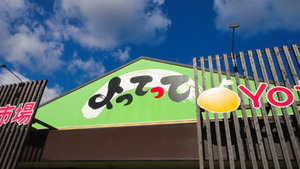 和歌山産直市場よってって野菜鮮魚