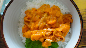 苫小牧マルトマ食堂うに丼