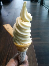 8c69310f.jpg