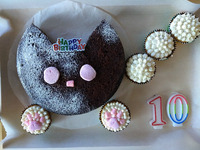 cake