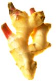 tangawizi