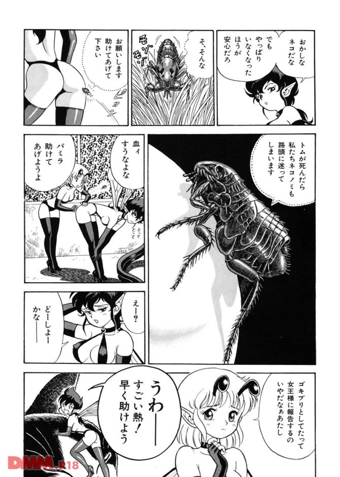 P.13