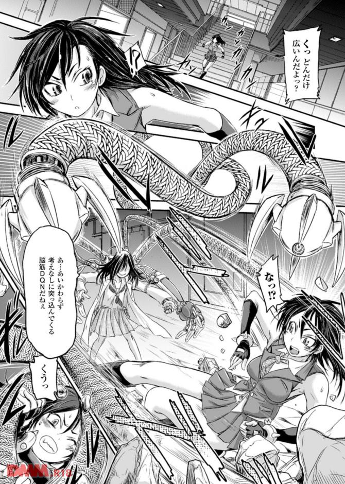 P.06