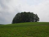 e6f50a17.JPG