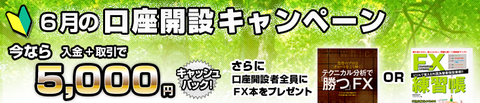 fxプライム6月キャンペーン