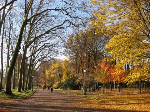 autumn-1059557_1280 (1)