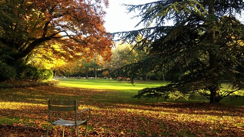 jardin-du-luxembourg-1263702_1280 (1)