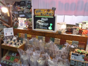 キノコ販売
