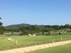 IMG_5845