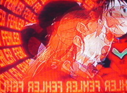 DSCN1342