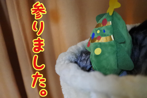EF781FDD-93F7-49AE-9174-B8AC2B4D35CD