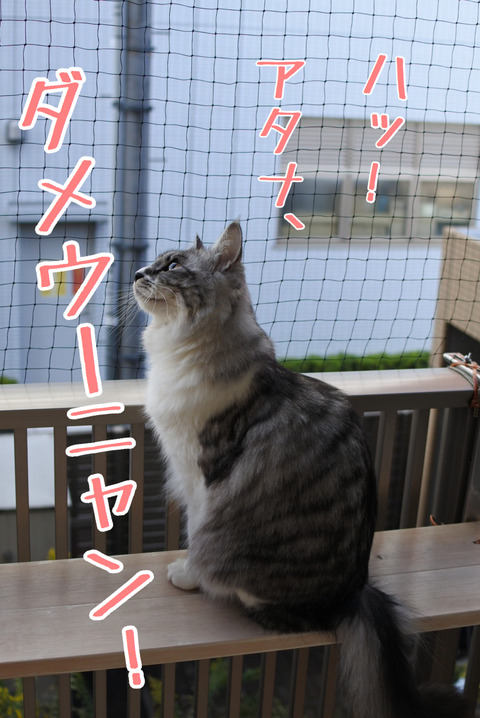 E3E6FD53-3B3A-4A1D-A3A0-0297F94D07A2