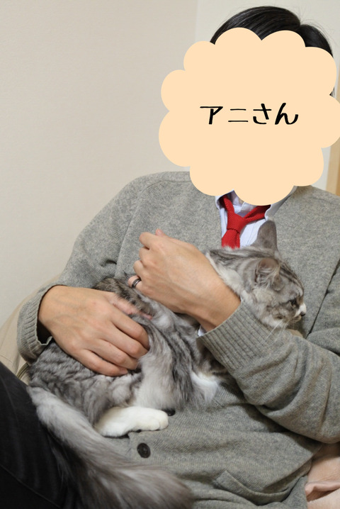 B80BC405-CC2E-44CC-B1F5-E464593A0B3D