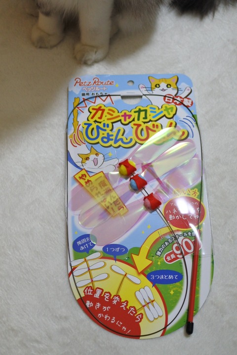 44E3A205-207C-407E-82B7-9DBCE6CA6937