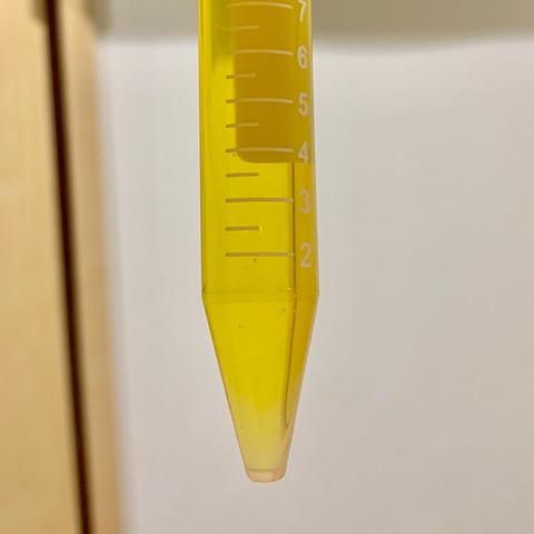 FullSizeRender