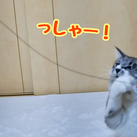 36C46571-71C1-4C95-A17E-561ABBF973FB