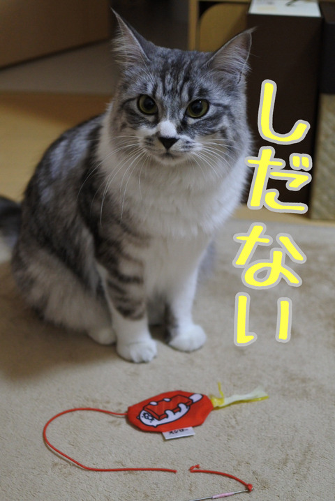 F334F06D-DB9A-496B-9E5F-79F57E0CC05E