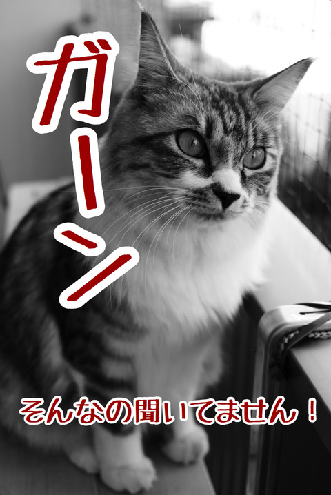 B6E399D9-F9CE-45D8-A169-B7CC7031D8DA