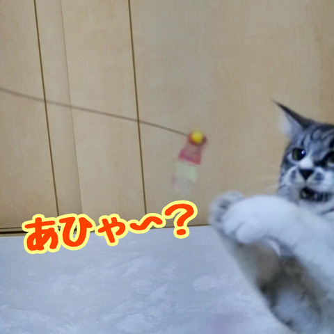 750508CE-33F8-4FC4-B0C0-7250870B7454