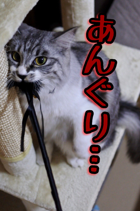 31814D5B-A448-418B-931C-5AD42A2F28DA