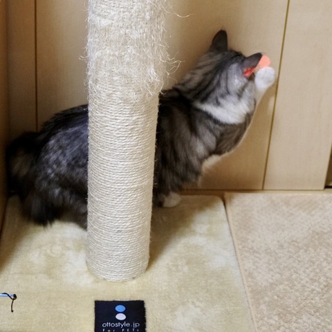FullSizeRender