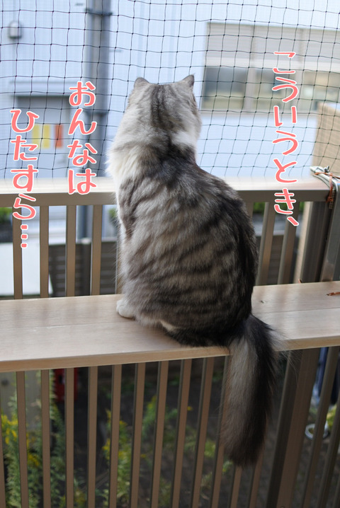 2681BF0C-1E3E-474C-A784-B9776CD618FF