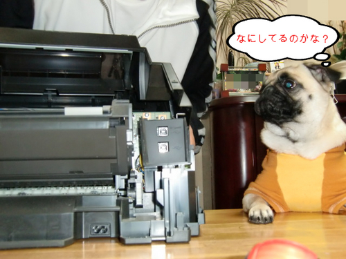 2010 02 04_5082.JPG