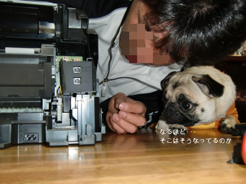 BlogPaint