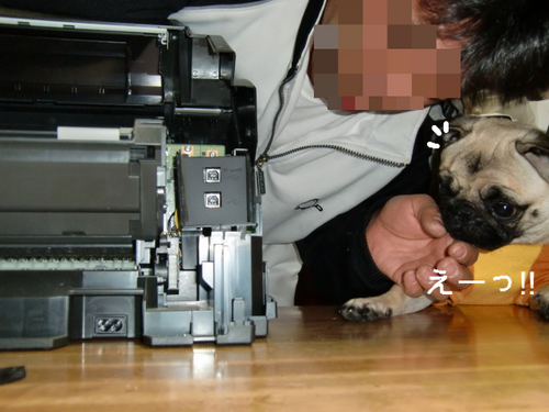 BlogPaint
