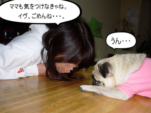 2009 11 19_3120.JPG