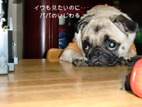 BlogPaint