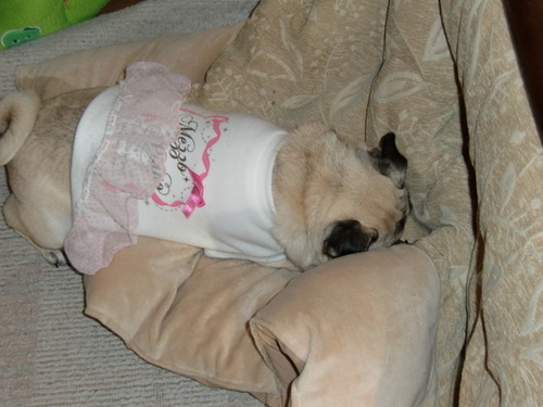 2010 02 05_5059