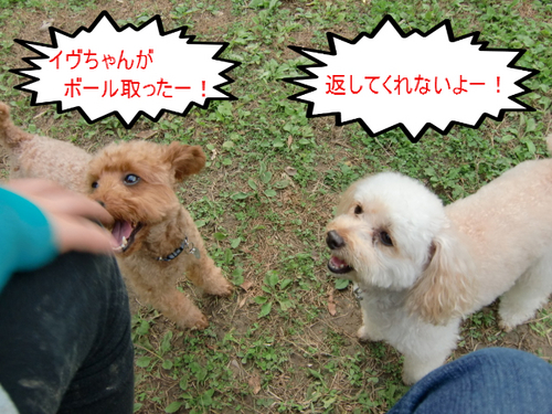 2009 11 10_2894.JPG
