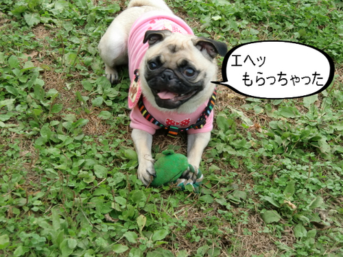 BlogPaint