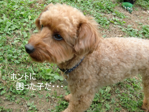 BlogPaint